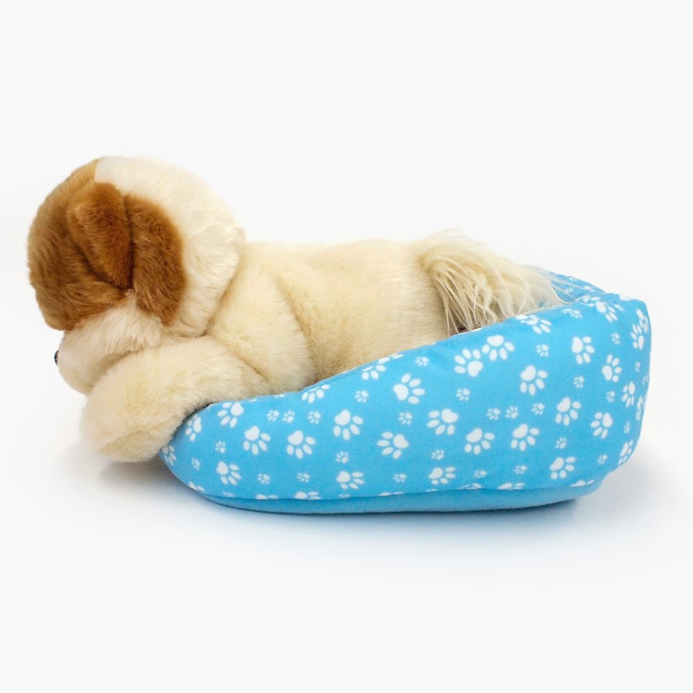 Boo Dog In Bed - Boo The World's Cutest Dog