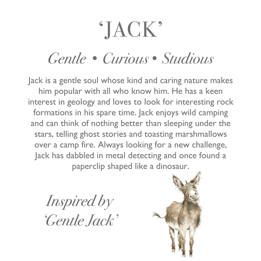 Wrendale Designs Jack Donkey Regular Plush Character