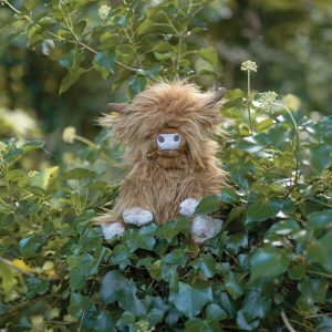Wrendale Designs Gordon Highland Cow Junior