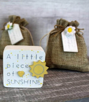 'A Little Piece of Sunshine' Sunshine Hug in a Daisy Bag - Langs